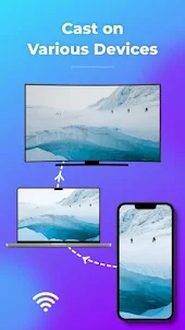 Screen Mirroring & TV Remote