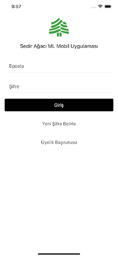 Sedir Ağacı Screen 2