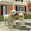 Dog Sim Online: Raise a Family 212 (Unlimited Money)