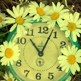 flower clock live wallpaper icon