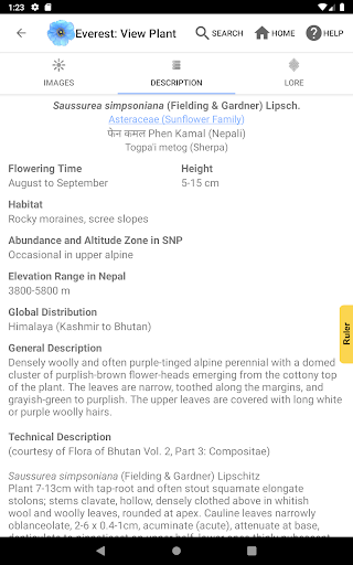 Screenshot of Wildflowers of Mount Everest