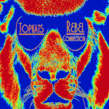 Topkats Rebel Connection! icon