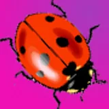 Cute Ladybugs Live Wallpaper icon