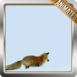 Polar Fox Live Wallpaper icon