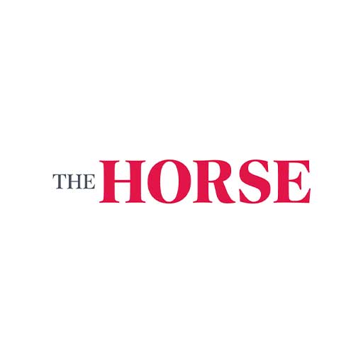 The Horse 1.0.2 Icon