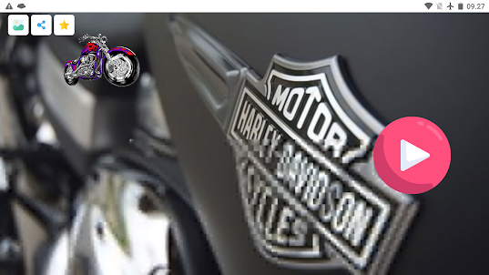 Mundo das Cores Harley