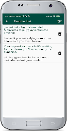 English Lithuanian Translate