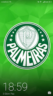 SE Palmeiras Papel de Parede - HD 2021 - Verdu00e3o 1.0 APK screenshots 21