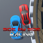 Side by Side Racing