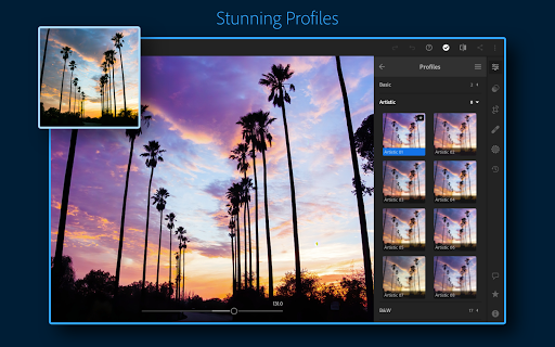 Adobe Lightroom - Photo Editor & Pro Camera 6.2.1 screenshots 11