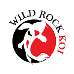 Cover Image of Download Wild Rock  APK