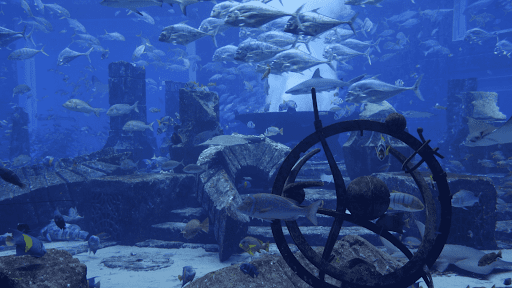 Aquarium Video Screensaver screenshot 3