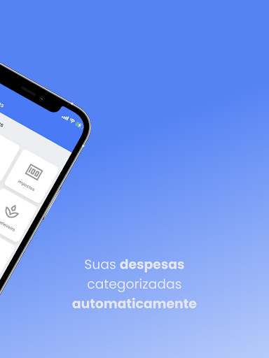 Saldo Positivo - Despesas Screenshot