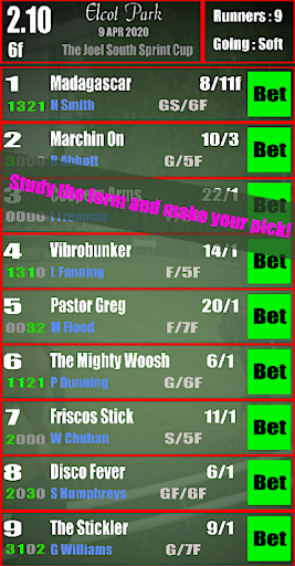 FPP Arcade Horse Racing Screen 3