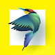 Bird Identifier Descarga en Windows