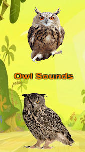 Owl Sounds Jungle Game 3d