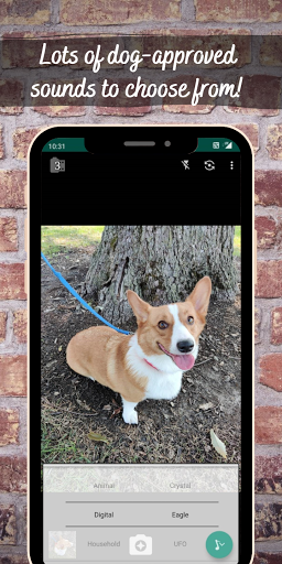 CorgiCam - Fun Dog Camera Screen 2