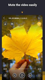 Video Player All Format – XVideoPlayer MOD APK (Premium Unlocked) 6