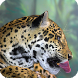 Jaguar Animal Live Wallpaper icon
