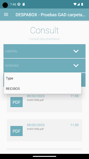 DESPABOX Screen 3