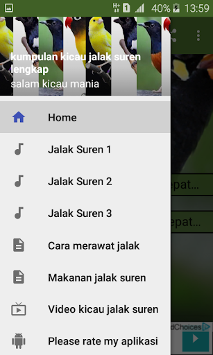 Kicau Jalak Suren Offline