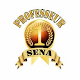 Rtv Professeur Sena دانلود در ویندوز