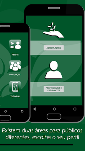 Adubação Verde Screen 3