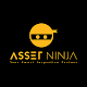 Asset Ninja Download on Windows