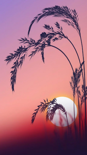 Wallpapers for OnePlus series Screen 2