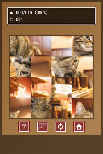 Swapping Cat Puzzle Screen 3