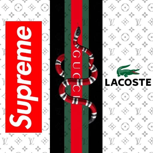 Download Supreme Gucci Style Wallpaper