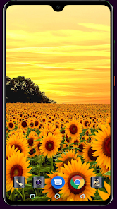 Screenshot 6 Sunflower Wallpaper android