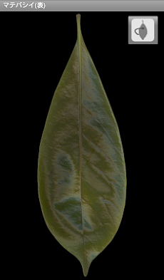 シンプル木の葉図鑑のおすすめ画像2