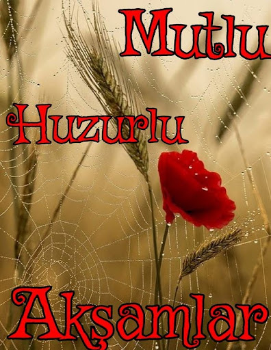 Mutlu akşamlar Screen 2