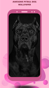 pitbull dog wallpaper
