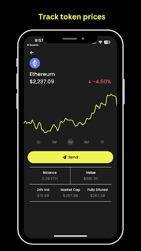 Nest Wallet Screen 3