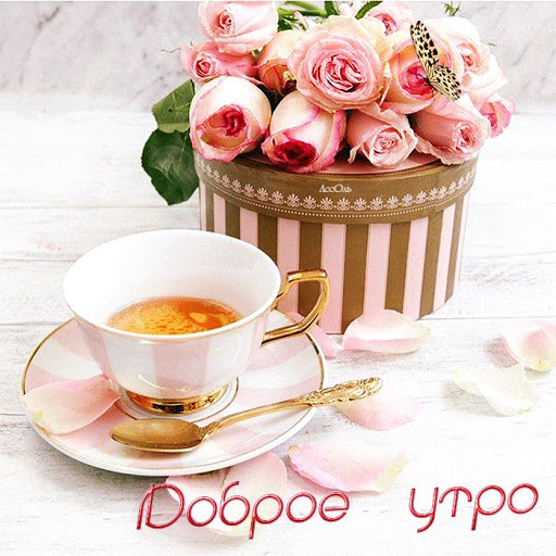 Android application Красивые поздравления С добрым screenshort