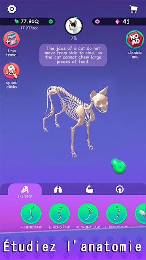 Aperçu de l'application