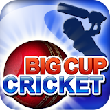 Big Cup Cricket Premium icon