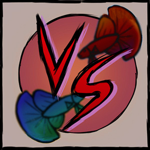 Betta Battle Adu Cupang