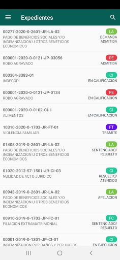 Despacho.pe Screen 3