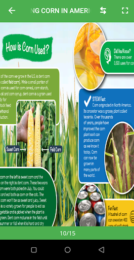 Growing Corn In America Screen 3
