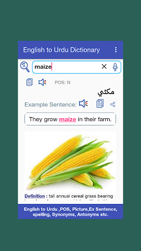 English to Urdu Dictionary Screen 3