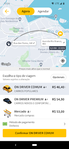 On Driver Ubá Screen 3