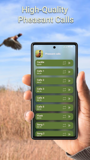 Android application Pheasant Hunting Calls screenshort