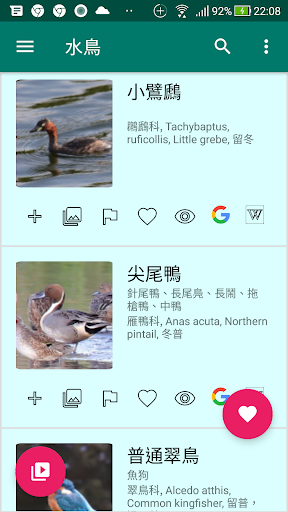 我的私人圖鑑-鳥類 Screen 3