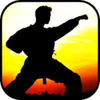 Learn martial arts
