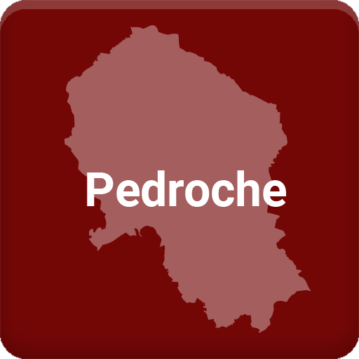 Pedroche logo