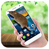 Mouse on Screen Scary Prank  -  Cool Funny Joke App icon
