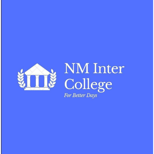 NM INTER COLLEGE logo